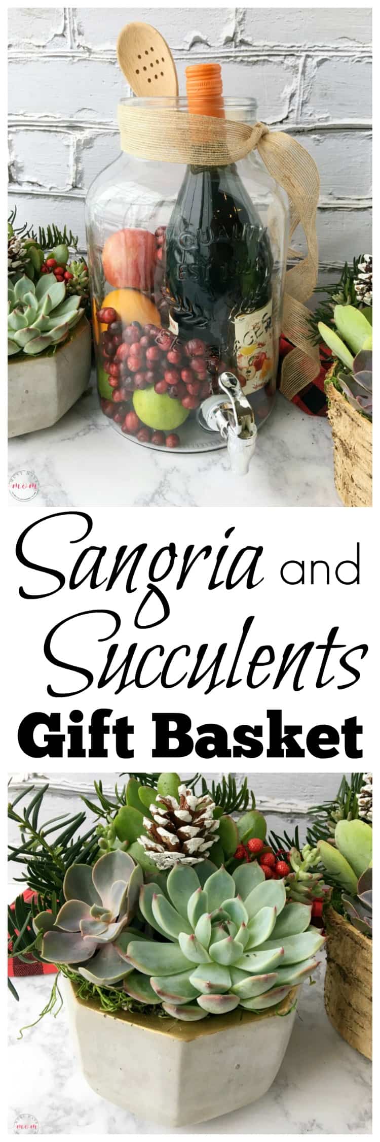 DIY Sangria Succulents Gift Basket Ideas Must Have Mom