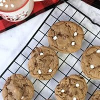 Easy, mouthwatering hot cocoa cookies! These are hot chocolate cookies that are chewy on the inside and crunchy on the outside with mini marshmallows. So good.