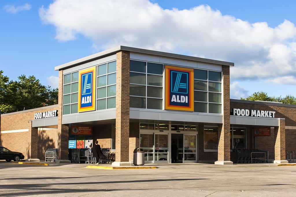 4 easy ways to save money at ALDI! Have you tried these money savings tips??