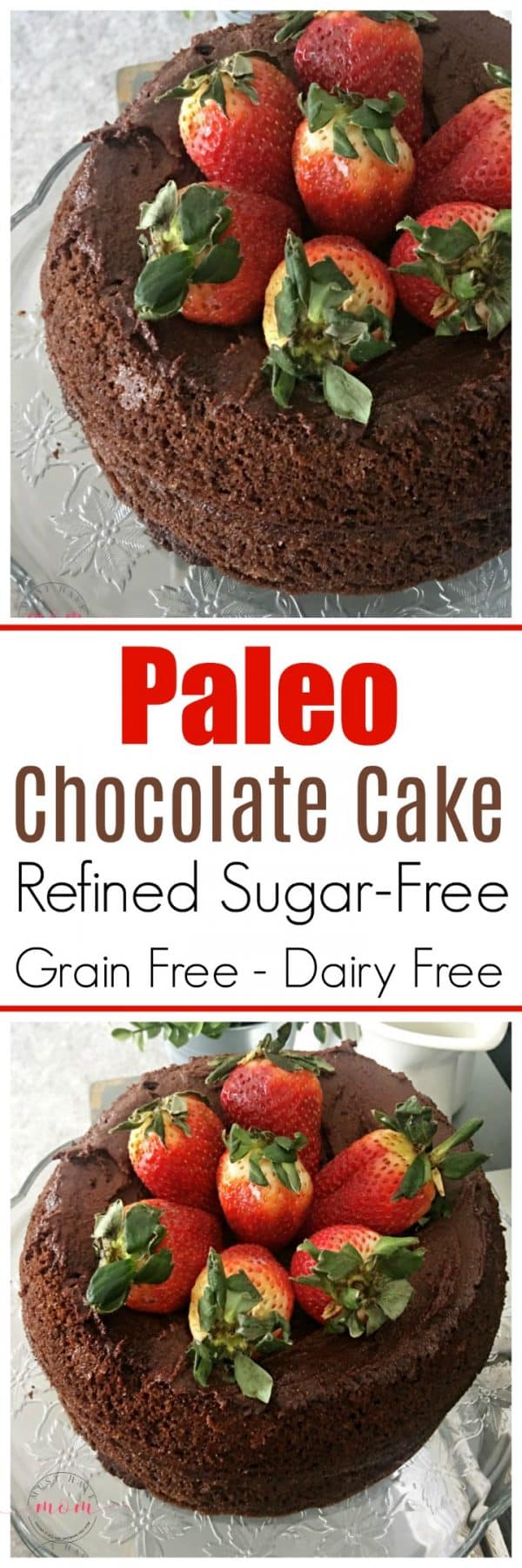 Paleo Chocolate Cake Recipe - Must Have Mom