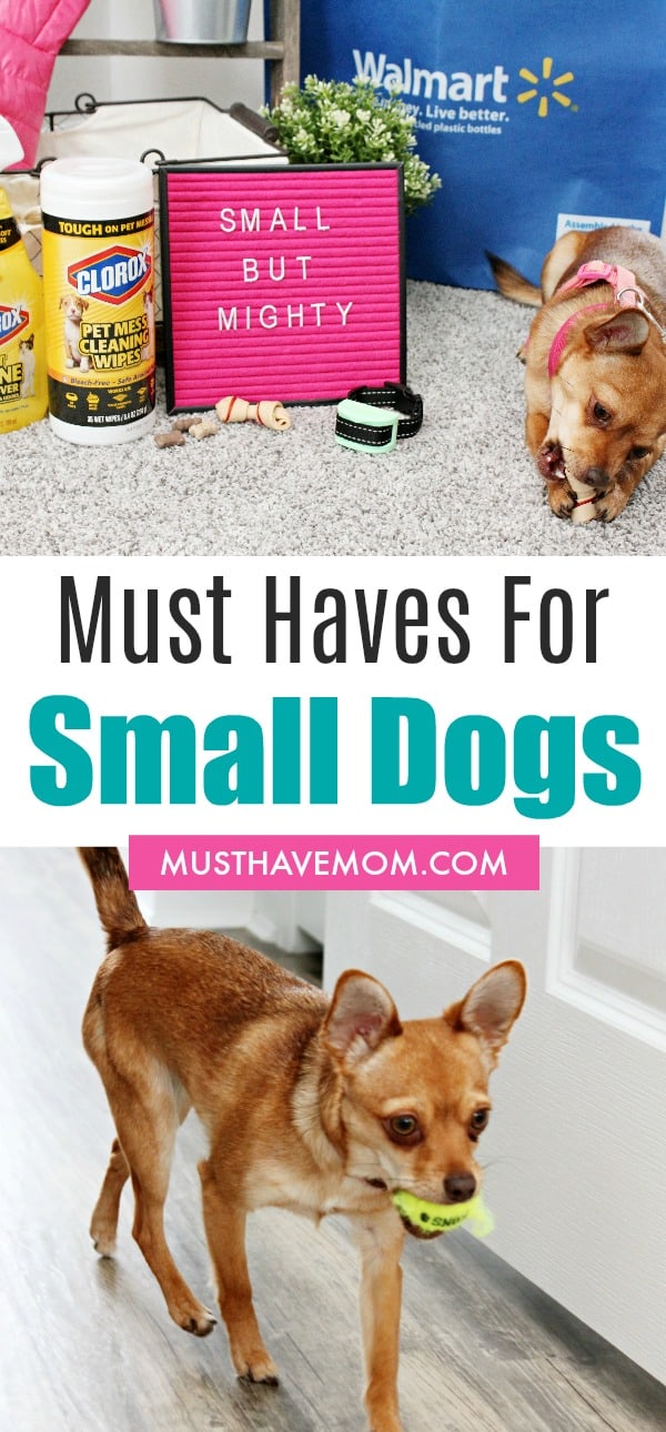 Must Have Supplies For Small Dogs Must Have Mom