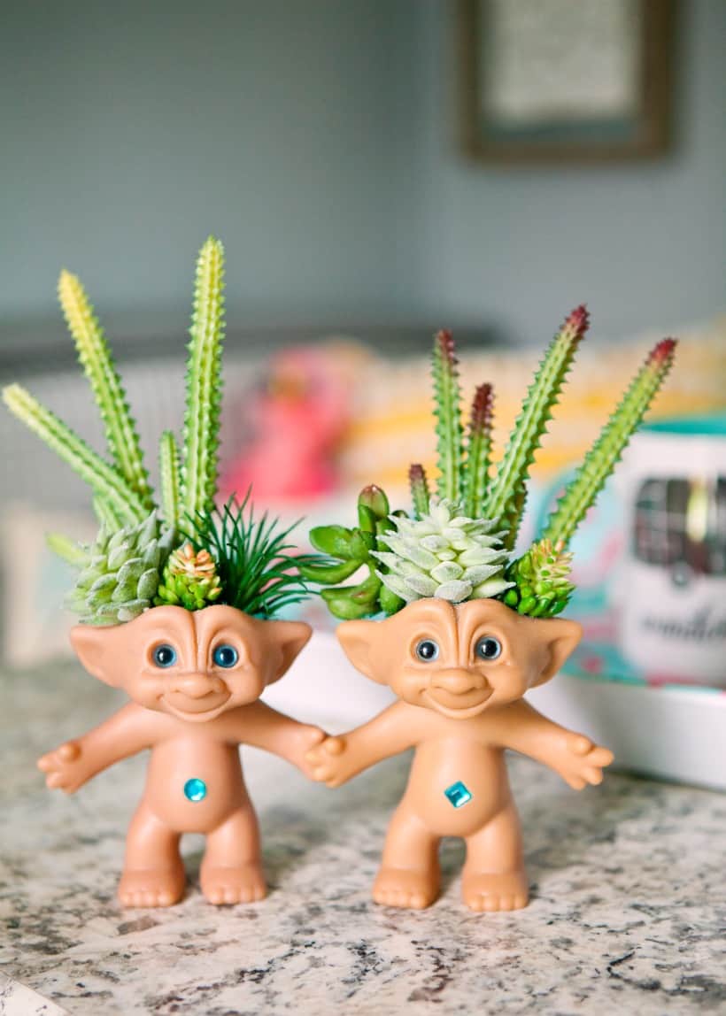 Trolls succulent planter