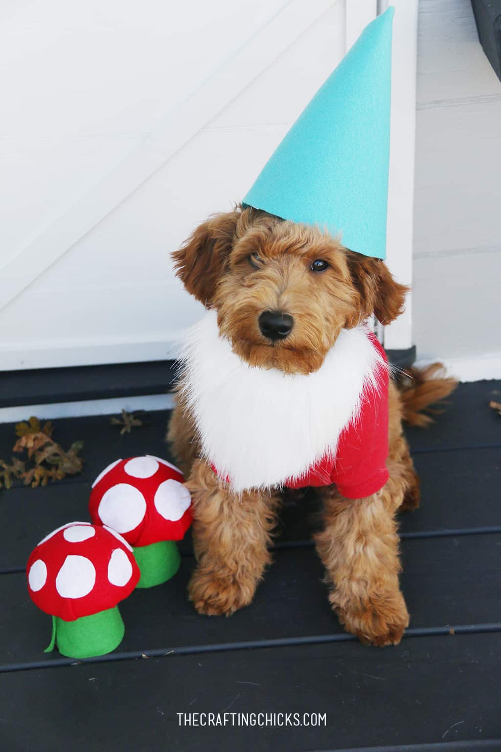 gnome dog costume