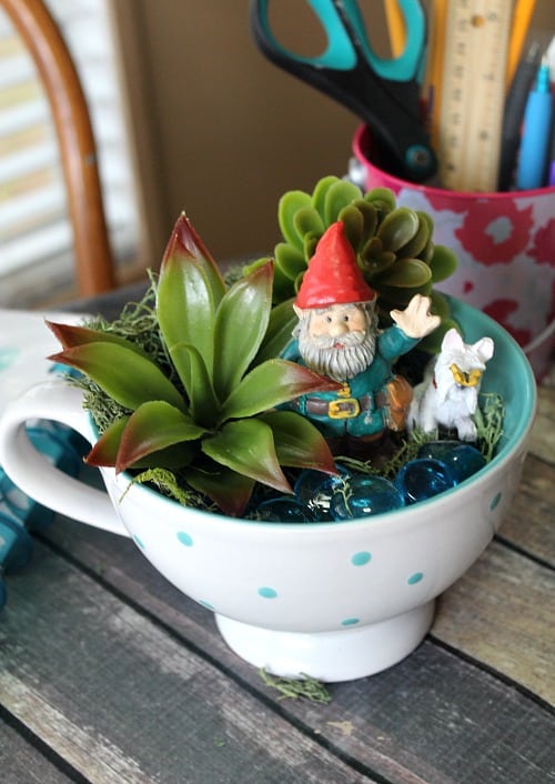 gnome teacup garden