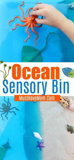 Ocean Theme Sensory Bin Activity - Must Have Mom