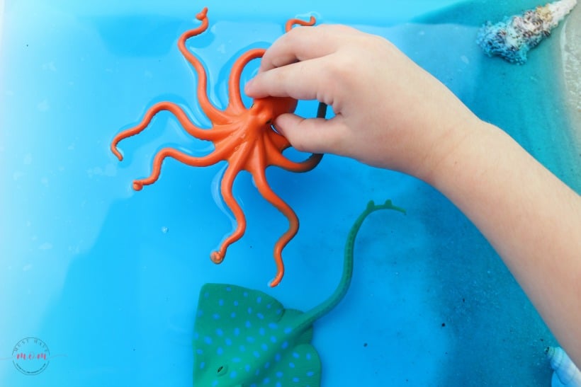 ocean animal in sensory bin