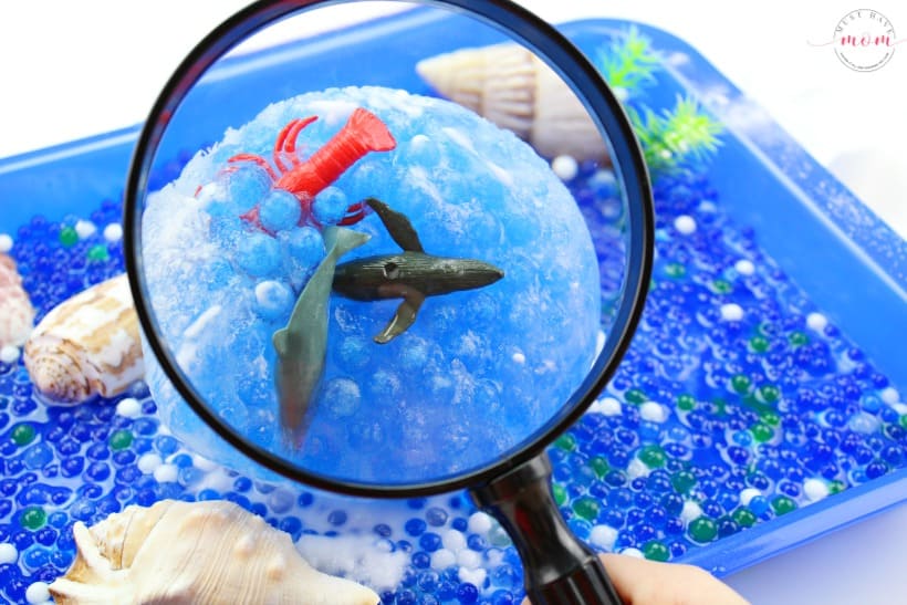 magnifying glass to see sea creatures