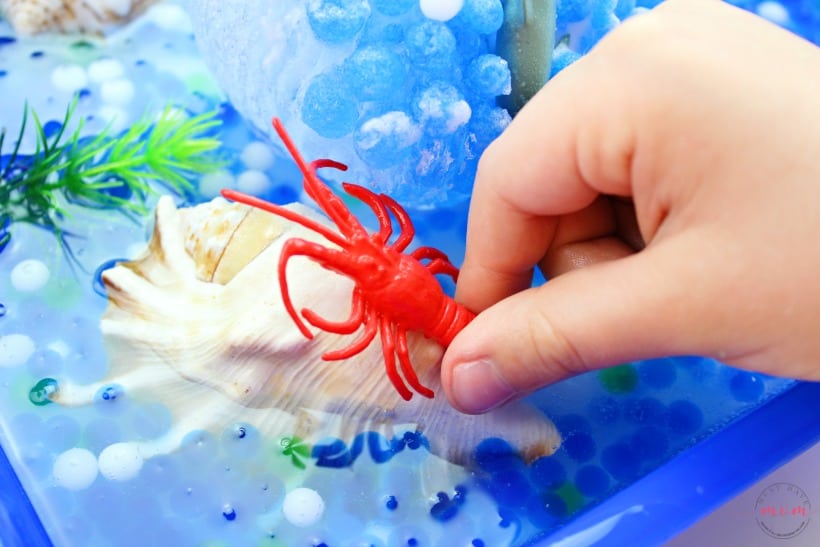 sea creatures inside frozen sensory bin