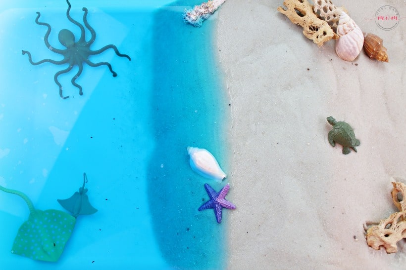 ocean preschool sensory bin