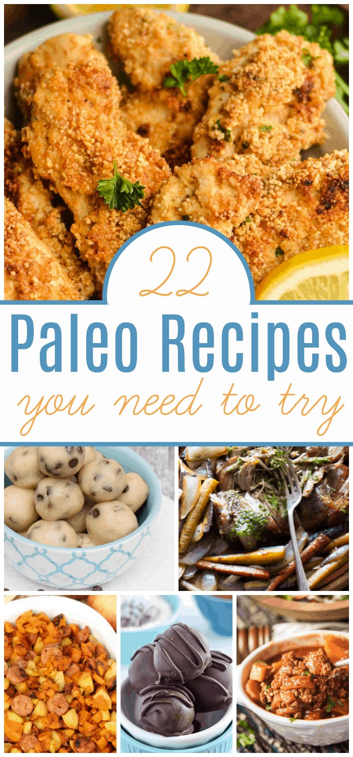 Trying to come up with Paleo friendly meals for breakfast, lunch, and dinner is a challenge. Here's help, a list of 22 delicious Paleo recipes to try. 