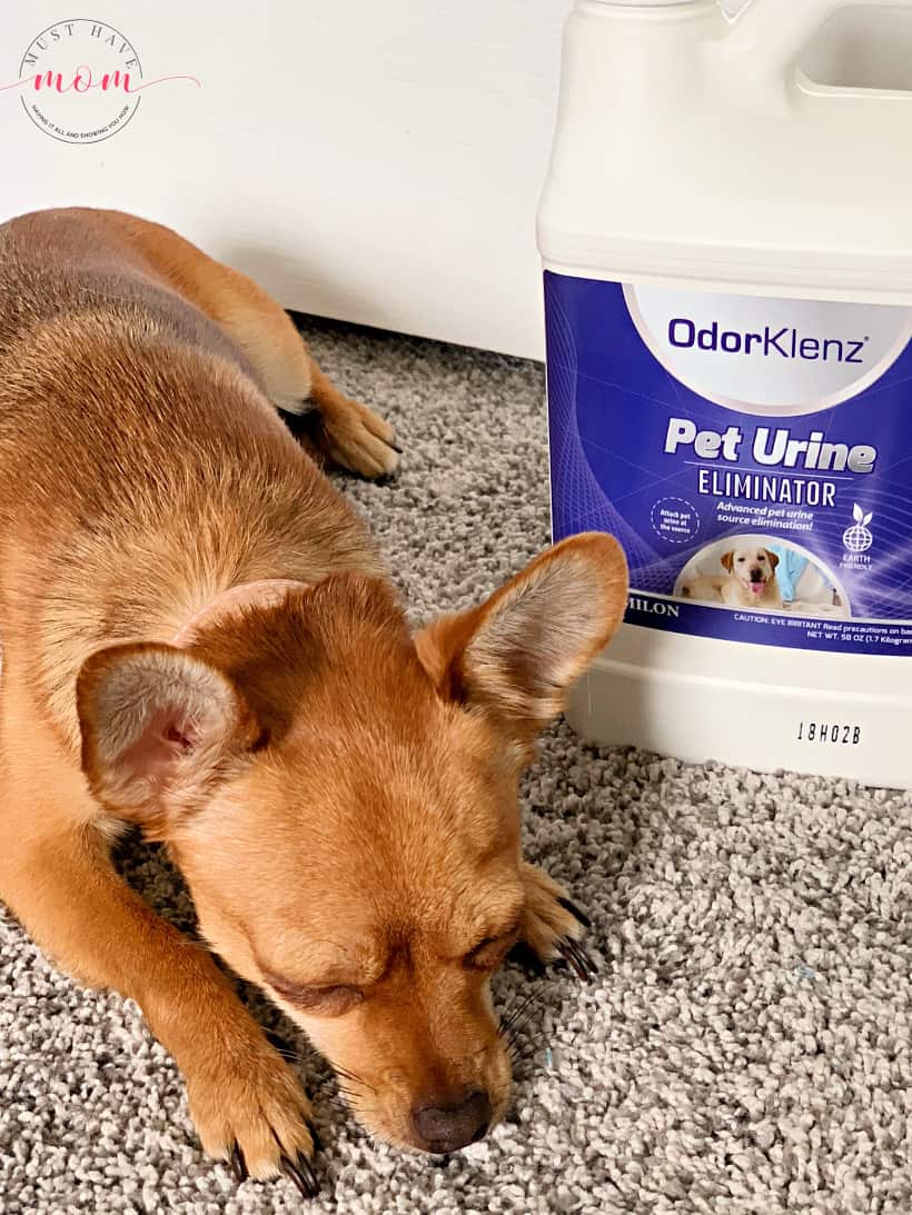 pet urine remover