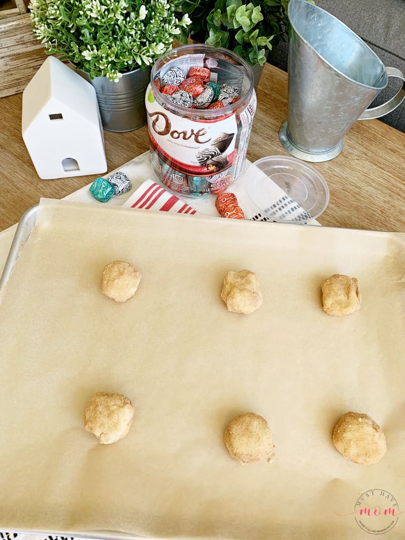 snickerdoodle cookie dough