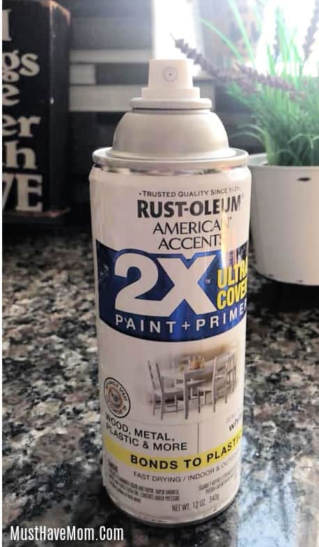 paint for dollar tree planter