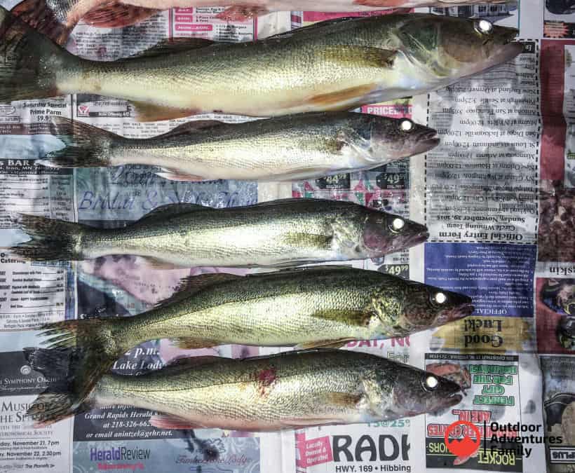 How to Fish for Walleye - Must Have Mom