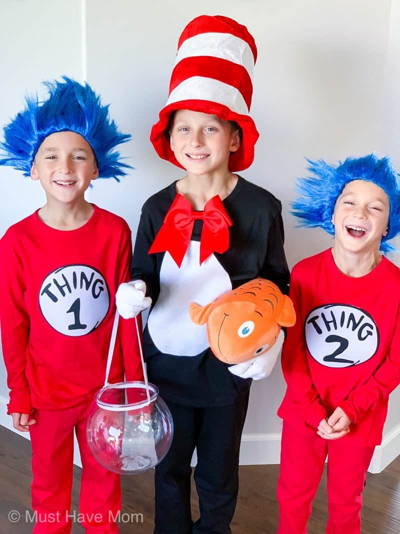 thing 1 and thing 2 costume 