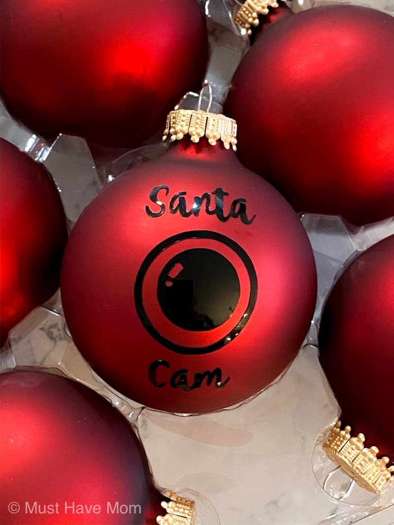 santa cam ornaments