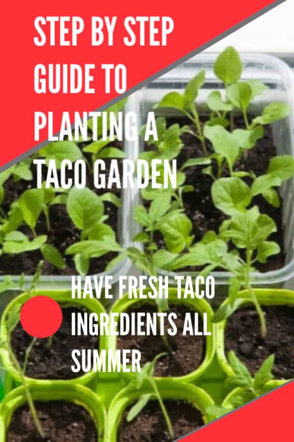 taco garden directions