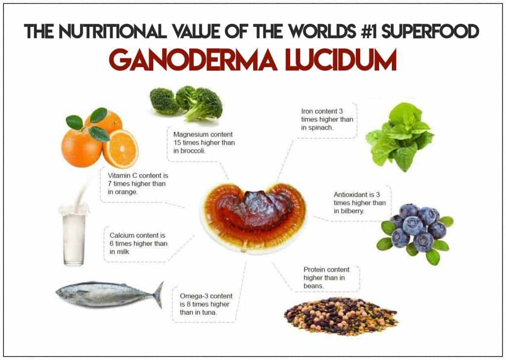 ganoderma