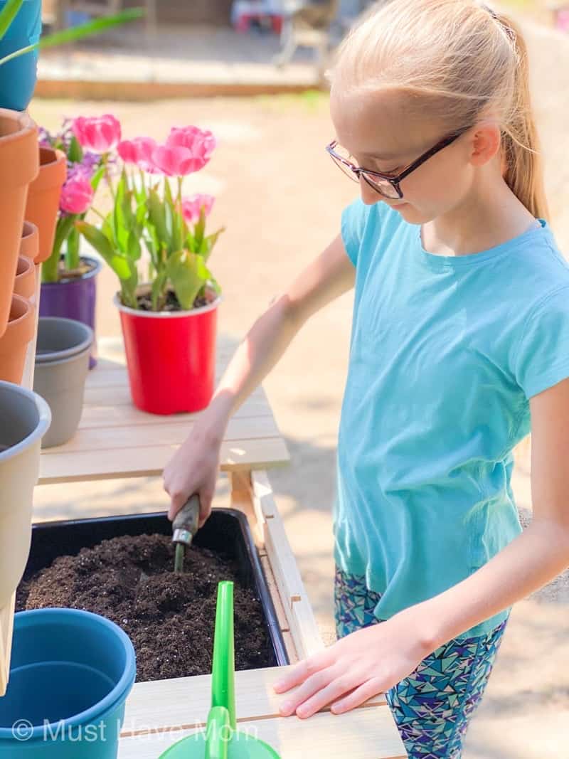 planting a pollinator garden