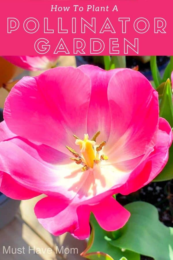How To Plant A Pollinator Garden - Must Have Mom