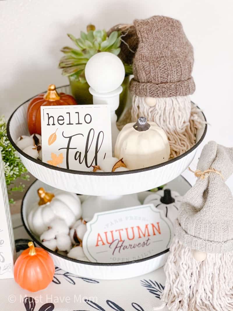 Fall Decor with Cricut