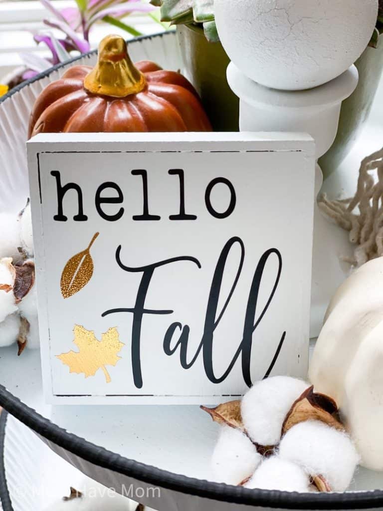 Our Hopeful Home: Dollar Tree Treasures #17: Dollar Tree Fall Finds