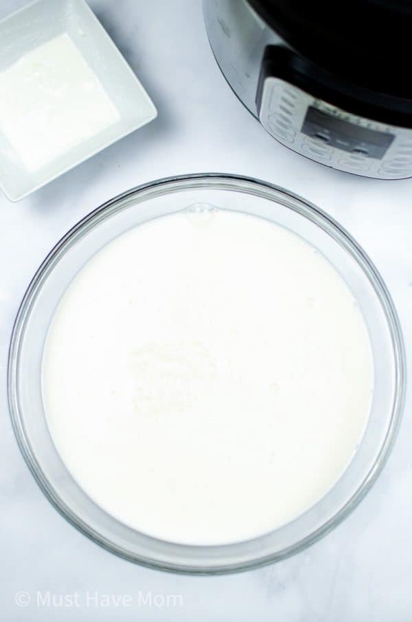 Almond Milk Yogurt Must Have Mom