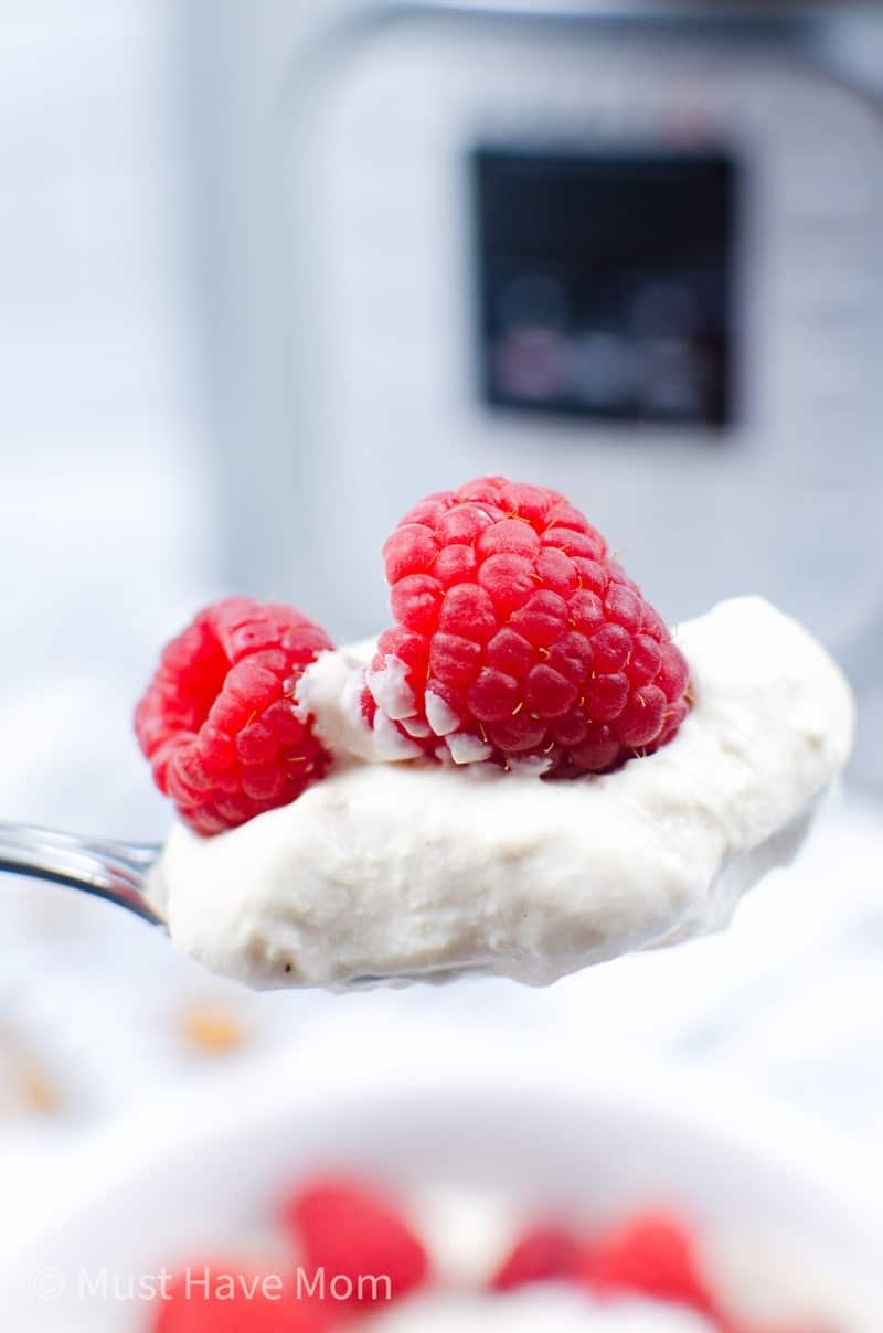 almond yogurt with fruit