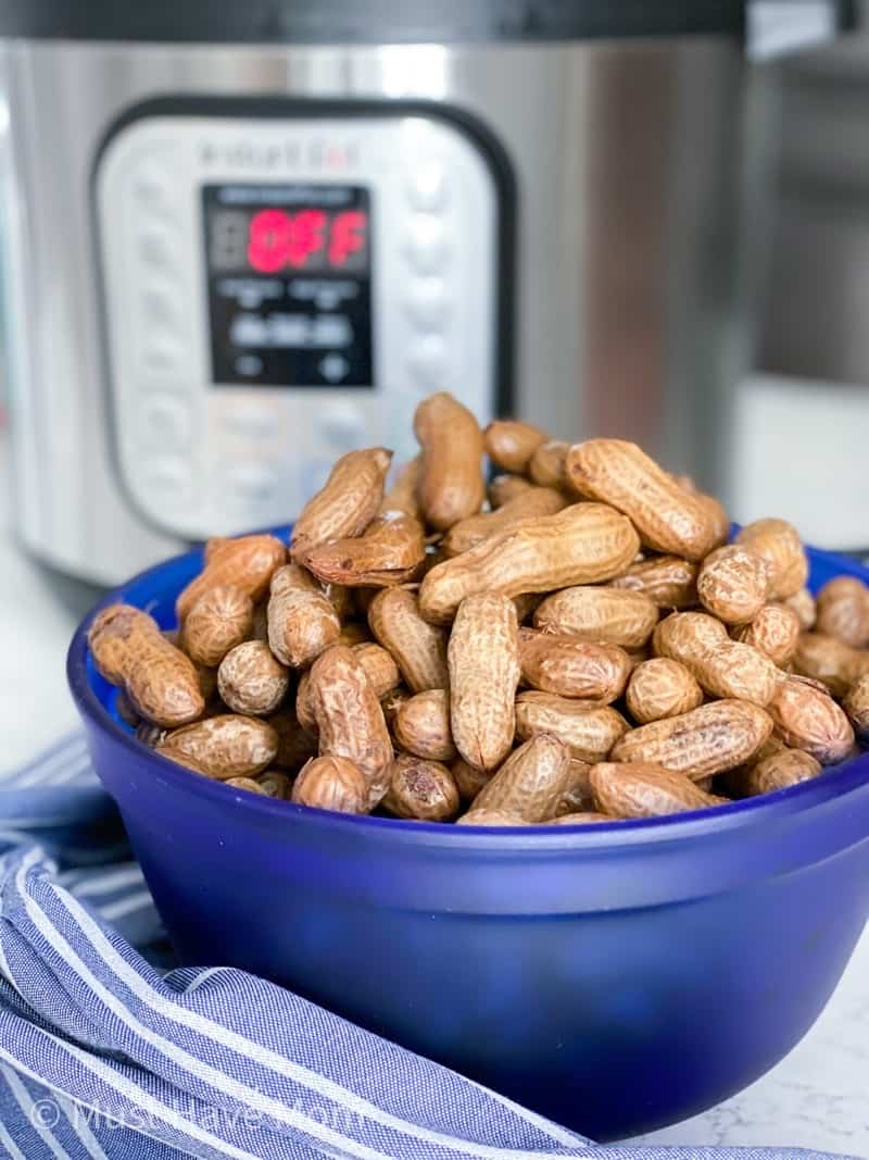 cooking peanuts in instant pot