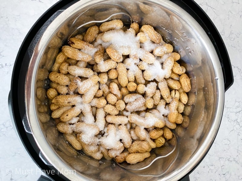 boiled peanuts in instant pot with salt