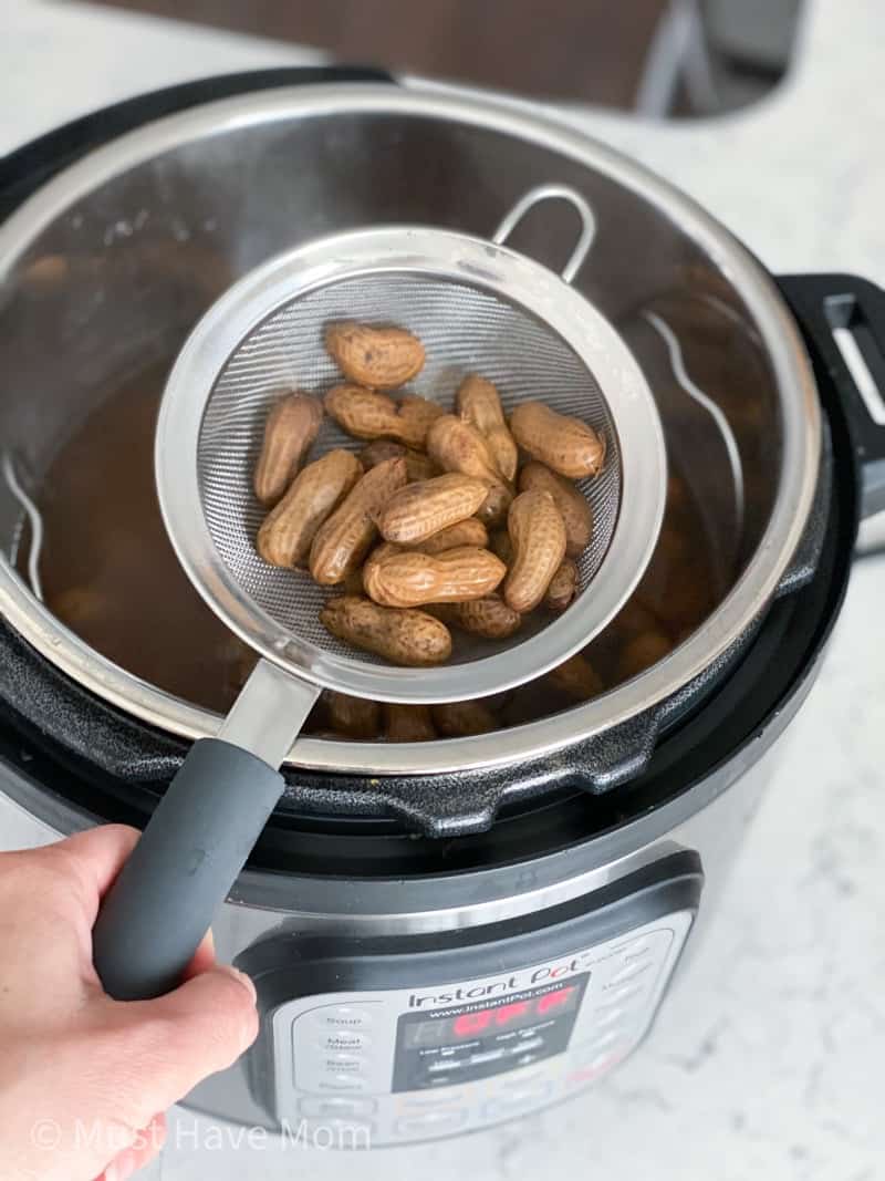 boiled peanuts recipe instant pot