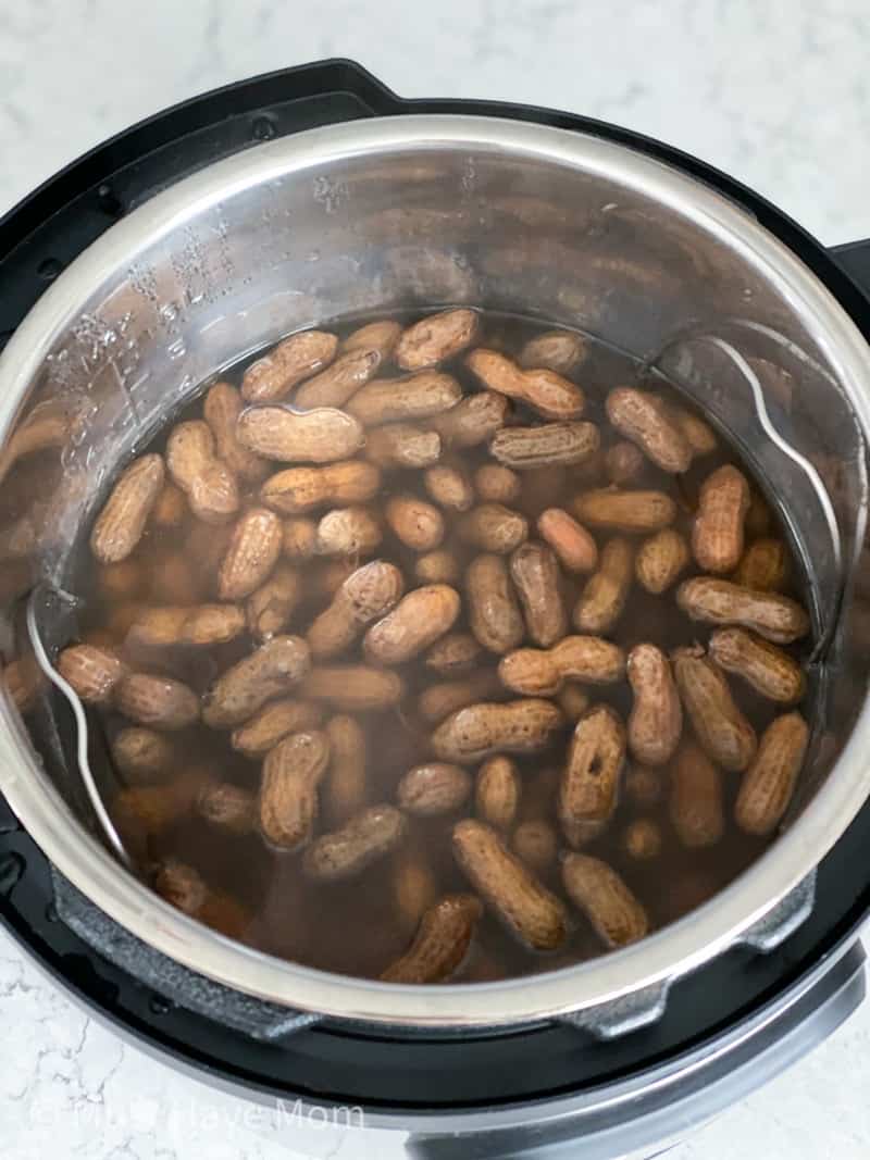 boiled peanuts in instant pot