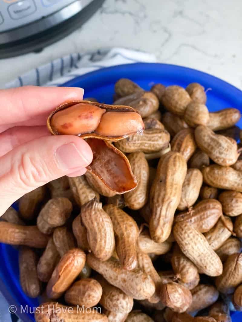 cracked open boiled peanut in shell