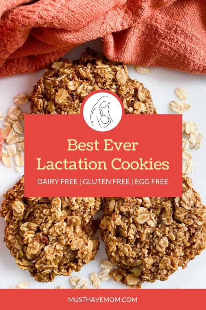 best lactation cookies