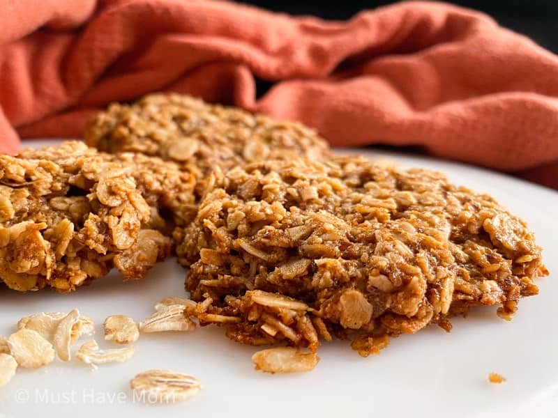 oatmeal lactation cookies