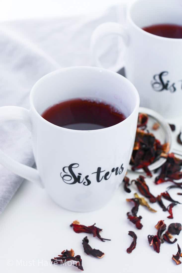 Sister Mugs Cricut Project