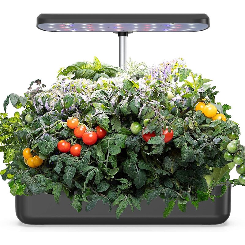 hydroponic indoor garden