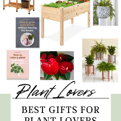 Best Gift Ideas For Plant Lovers