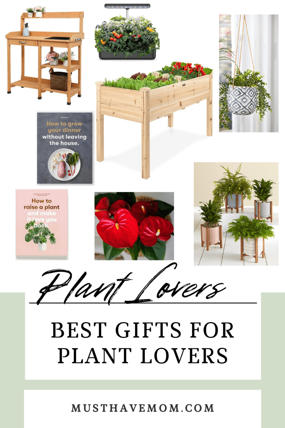 best gifts for plant lovers