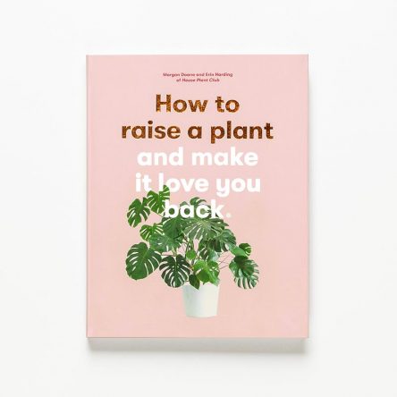 How to raise a plant and make it love you back