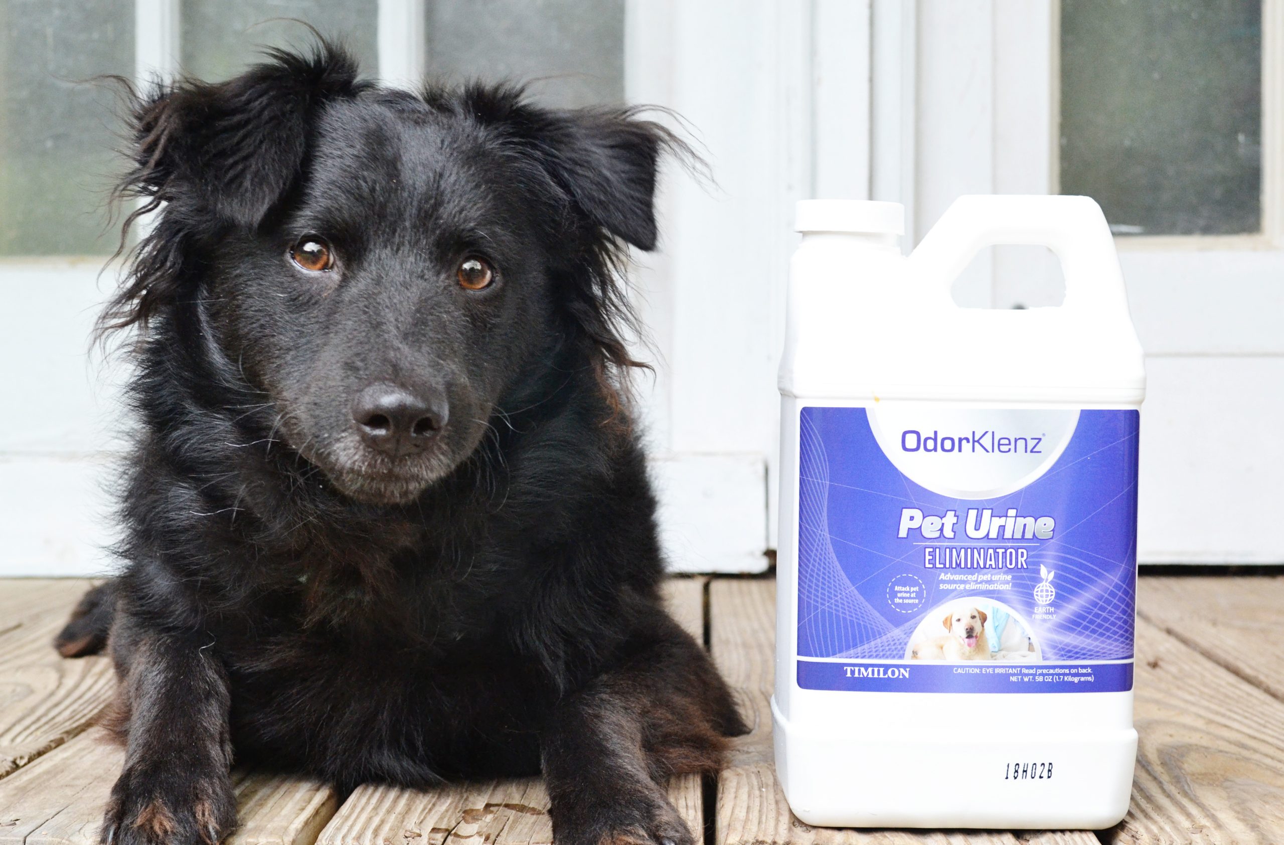 pet urine eliminator