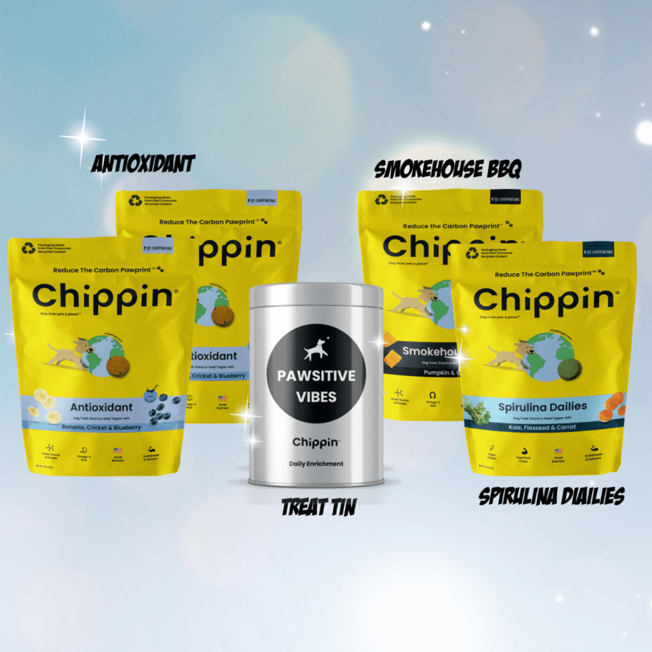 Chippin Holiday Bundle
