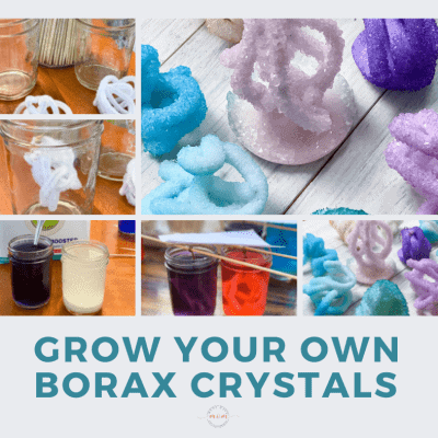 Grow Your Own Borax Crystals
