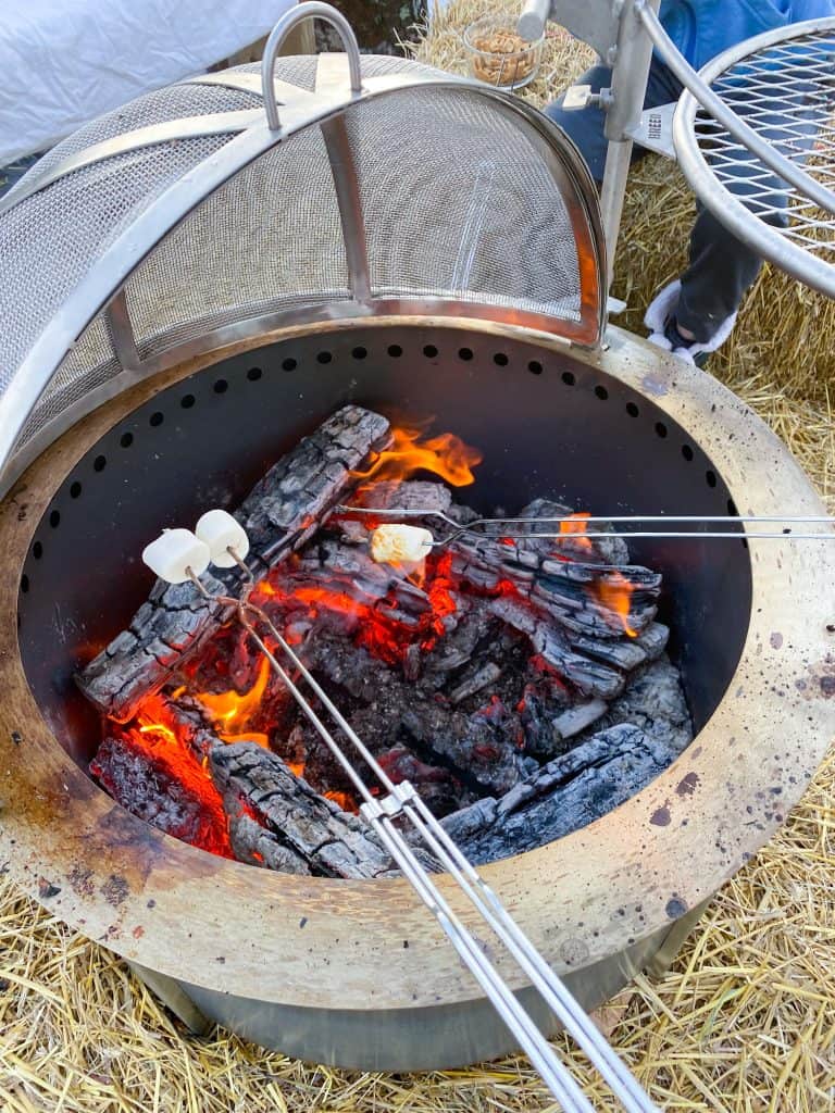 smores in the Breeo fire pit